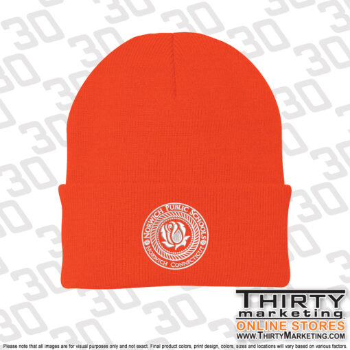 Norwich Public Schools Knit Cap - Image 4